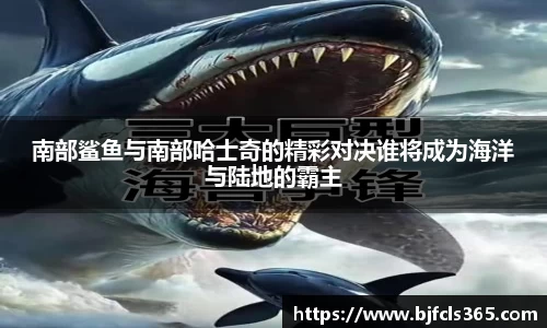 beats365官方网站